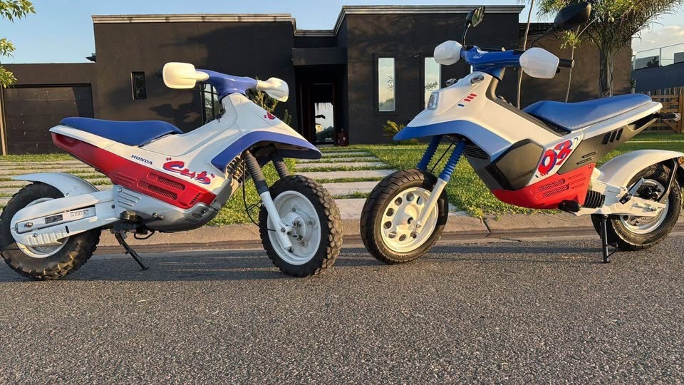 FELO ELÉCTRICA (HONDA CUB SÍMIL)