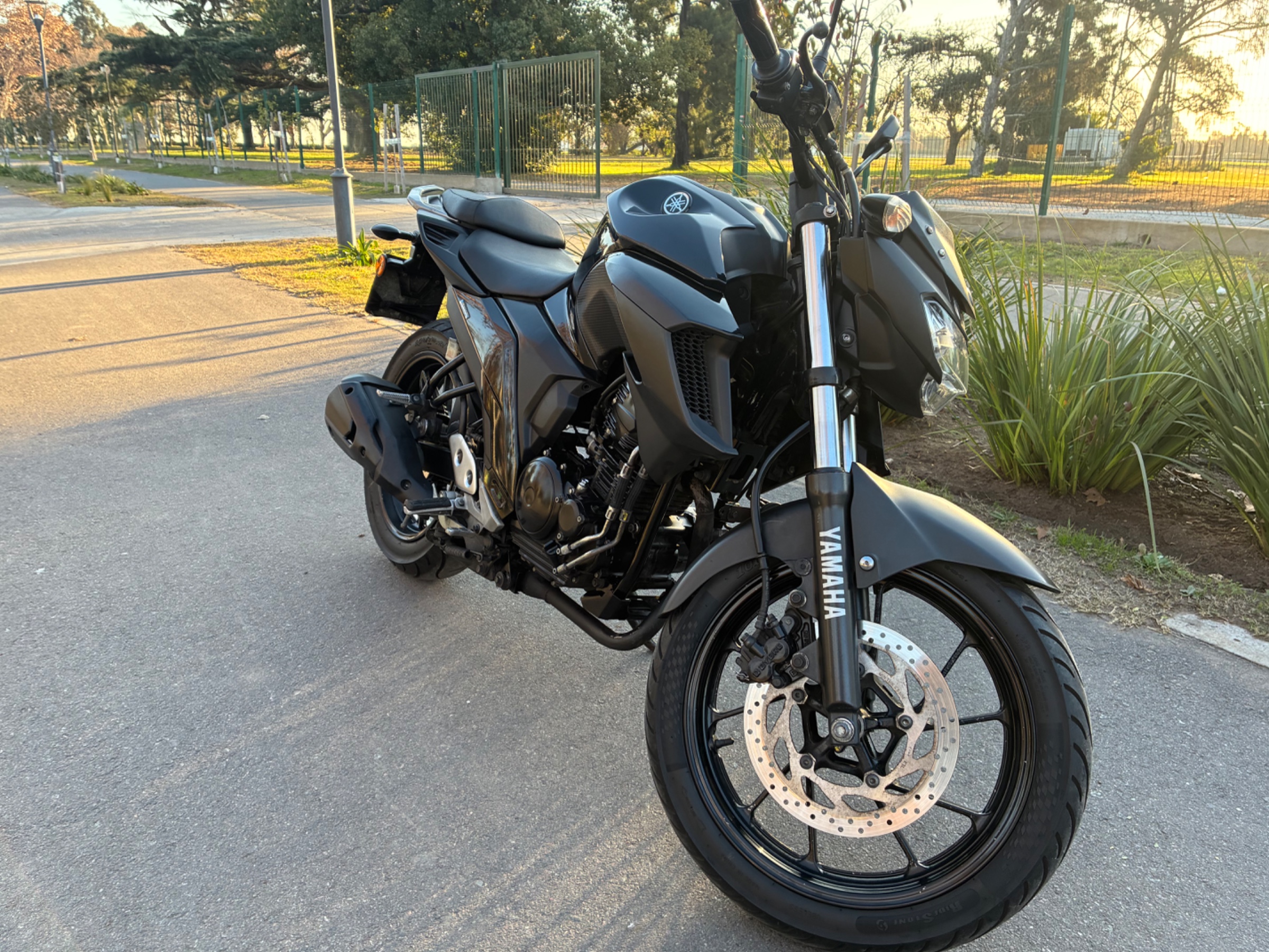 Yamaha FZ 25. Año 2019 muy cuidada